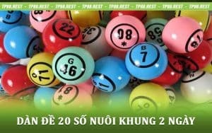 Dàn Đề 20 Số Nuôi Khung 2 Ngày